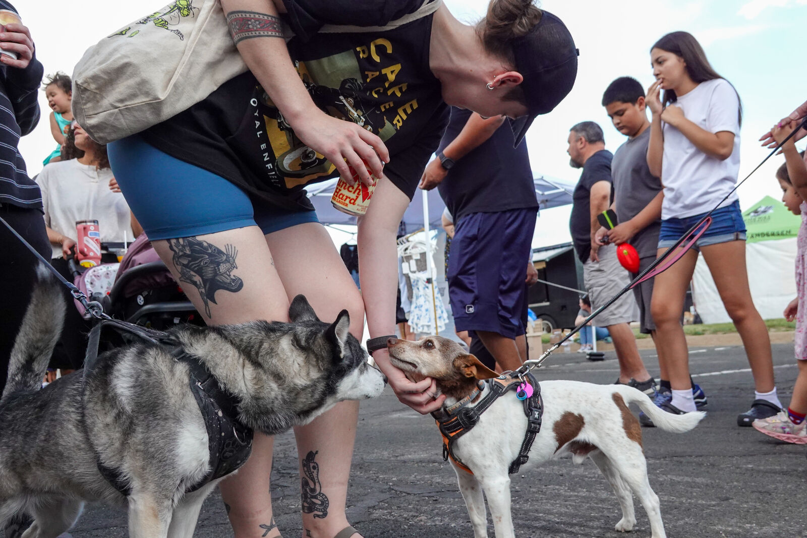 Dogs and their people at the Thornton farmers market